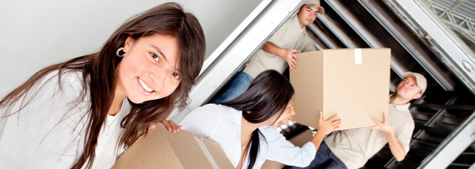 Professional Removalists Renison Bell